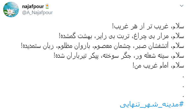 یا بن الزهرا هزار کتاب برای شرح تنهایی&zwnj;ات کافی نیست + تصاویر