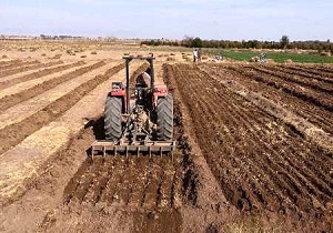 آغاز اجرای طرح کشت پاییزه در ۲۹ هزار هکتار اراضی شهرستان نیر