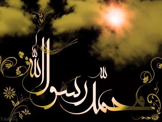 پروفایل