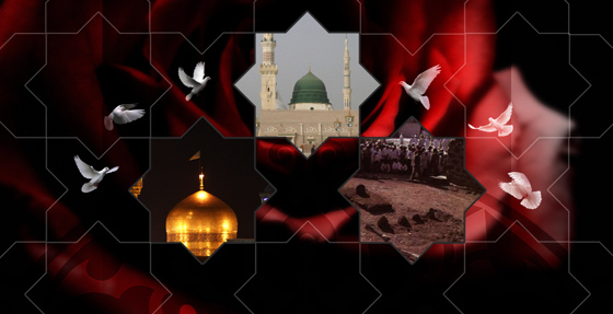 پروفایل