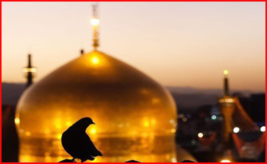 ۳.۵ متری شدن امواج دریای عمان با طوفان حاره ای/ کلانشهری که خیابان&zwnj;های آن با فاضلاب فرش شد