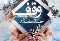 برگزاری ویژه برنامه&zwnj;هایی تحت عنوان هفته وقف در استان ایلام