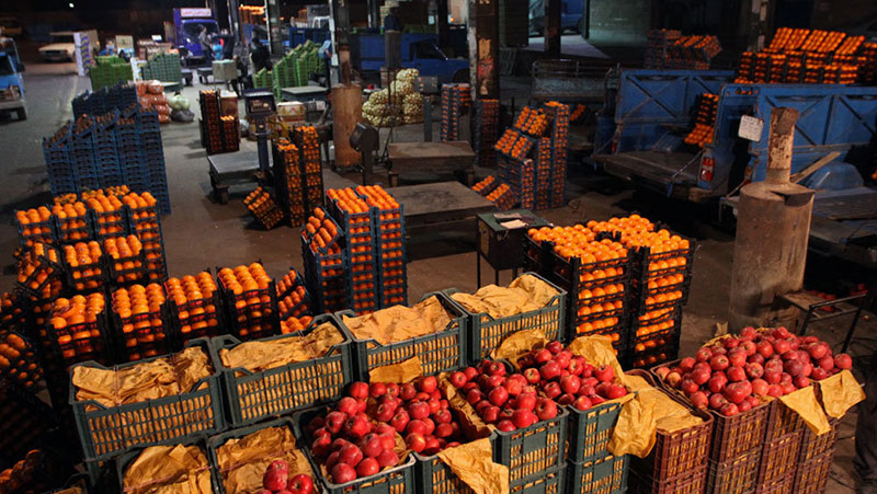 آخرین جزئیات ذخیره سازی مرکبات برای تنظیم بازار شب عید