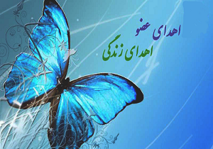 سی و یکمین اهدای عضو در سال ۹۸ به وقوع پیوست