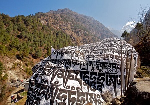 کشف ۸۵ مکان&zwnj; حکاکی باستانی در تبت