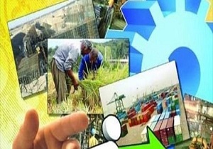 ایجاد ۹۷۷ فرصت شغلی در روستا&zwnj;های خراسان جنوبی