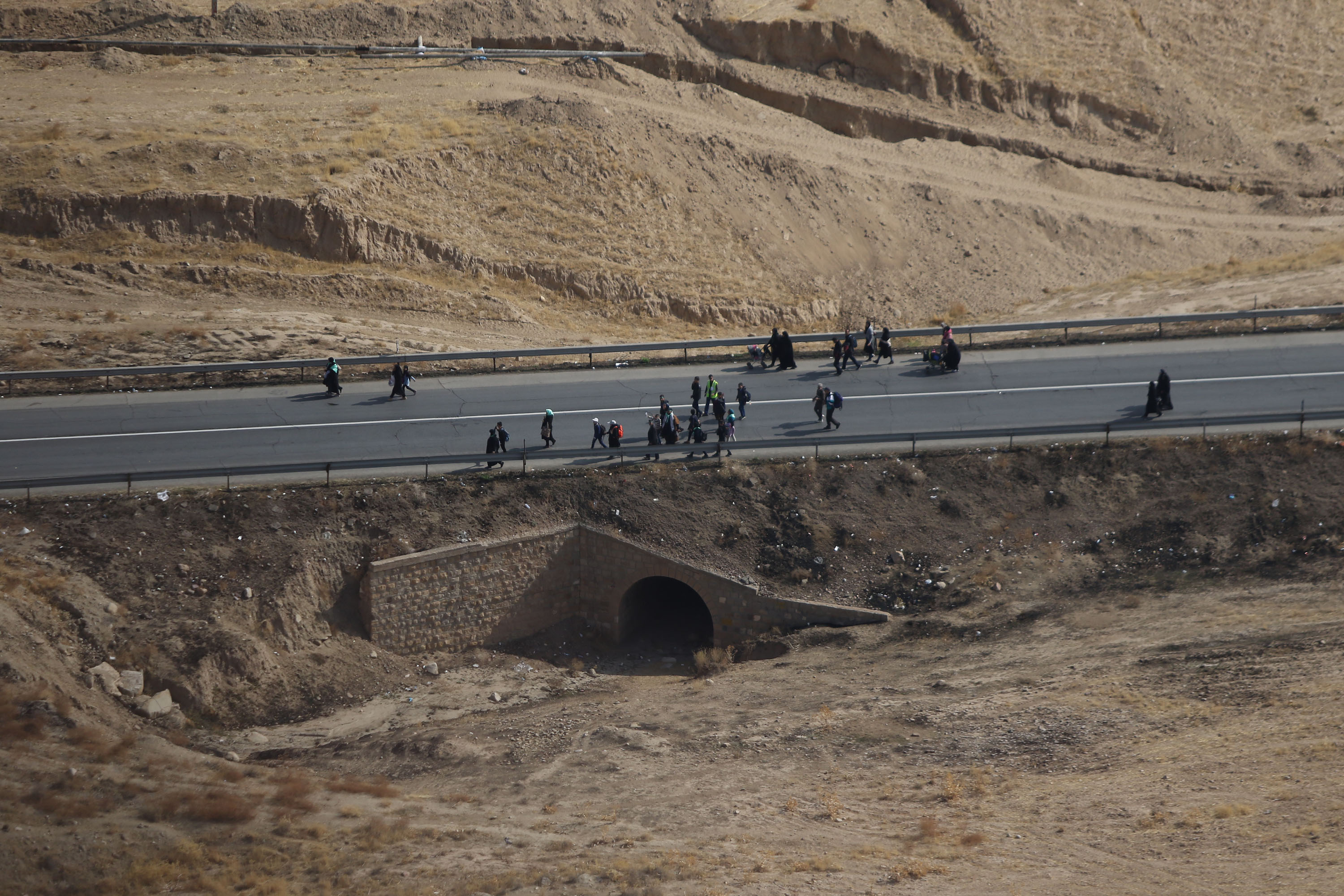 خیل عظیم عاشقان شاه طوس در جاده های خراسان رضوی+تصاویر