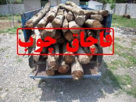 کشف چوب قاچاق در هرمزگان