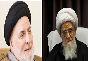 پیام تسلیت آیت الله صافی گلپایگانی در پی ارتحال علامه سید جعفر مرتضی/فقدان این روحانی وارسته برای مراکز علمی و دینی ثلمه و خسارت است