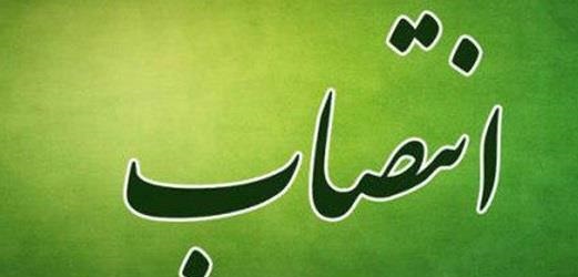 مدیرعامل سابق بیمه دولتی سکاندار بیمه البرز شد