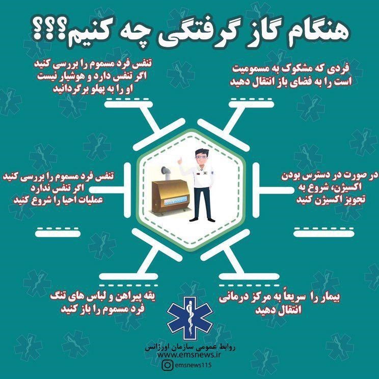 هنگام گازگرفتگی این ۶ اقدام را انجام دهید//گلی