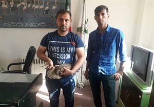 نوجوانان گمیشانی ناجی بوتیمار زخمی