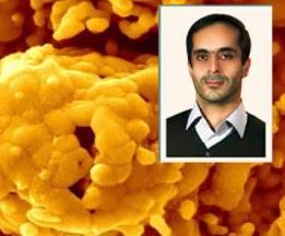 راهیابی عکس میکروسکپی استاد دانشگاه مراغه به مسابقات نانو آرتو گرافی آمریکا