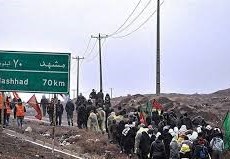 حضور نیم میلیون نفر زائر پیاده در مشهد