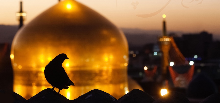 راز مقبره ۵ چهره عجیب در حرم حضرت رضا (ع)؛ از «نخودکی» و «پالاندوز» تا «جیگی‌جیگی» نوازنده + تصاویر
