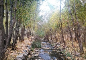 پیش بینی وزش باد شدید و بارش پراکنده باران