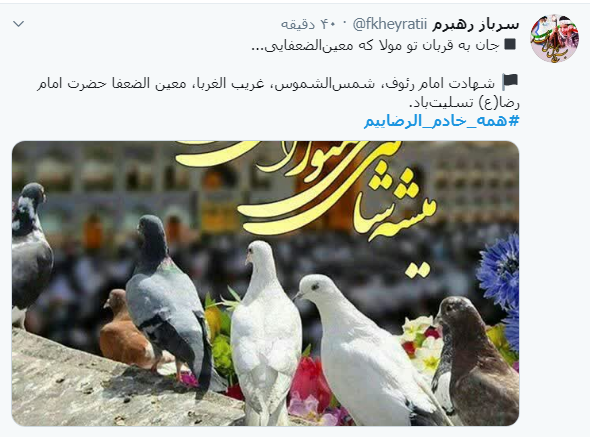 #همه_خادم_الرضاییم / ما را کبوترانه وفادار کرده است؛ آزاد کرده است و گرفتار کرده است