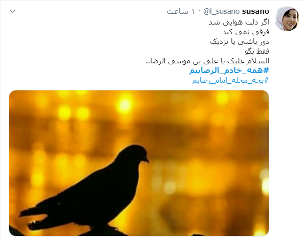 #همه_خادم_الرضاییم / ما را کبوترانه وفادار کرده است؛ آزاد کرده است و گرفتار کرده است