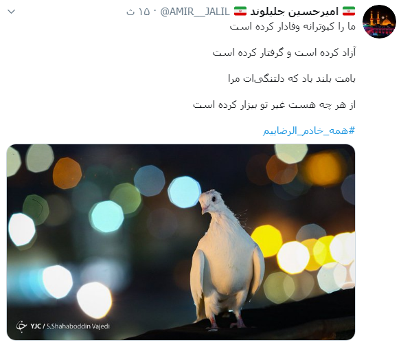 #همه_خادم_الرضاییم / ما را کبوترانه وفادار کرده است؛ آزاد کرده است و گرفتار کرده است