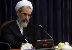 دنیای اسلام ظرفیت همگرایی و انسجام بیشتری دارد