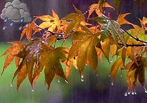 تا ده روز آینده در قم بارش نخواهیم داشت