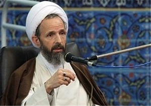 تبیین مقام ولایت و جایگاه آن مهم‌ترین مسئله حرکت امام رضا (ع) بود