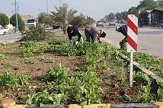 تاکید بر آمادگی در برابر خطرات احتمالی باغات و مزارع استان