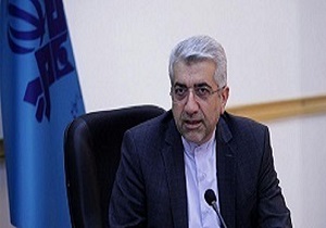 هم افزایی دولت و بخش خصوصی در صنعت برق باید افزایش پیدا کند