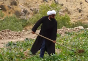 کشاورز ایلام
