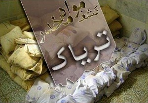 کشف بیش از ۱۹۰ کیلوگرم تریاک در حاجی آباد