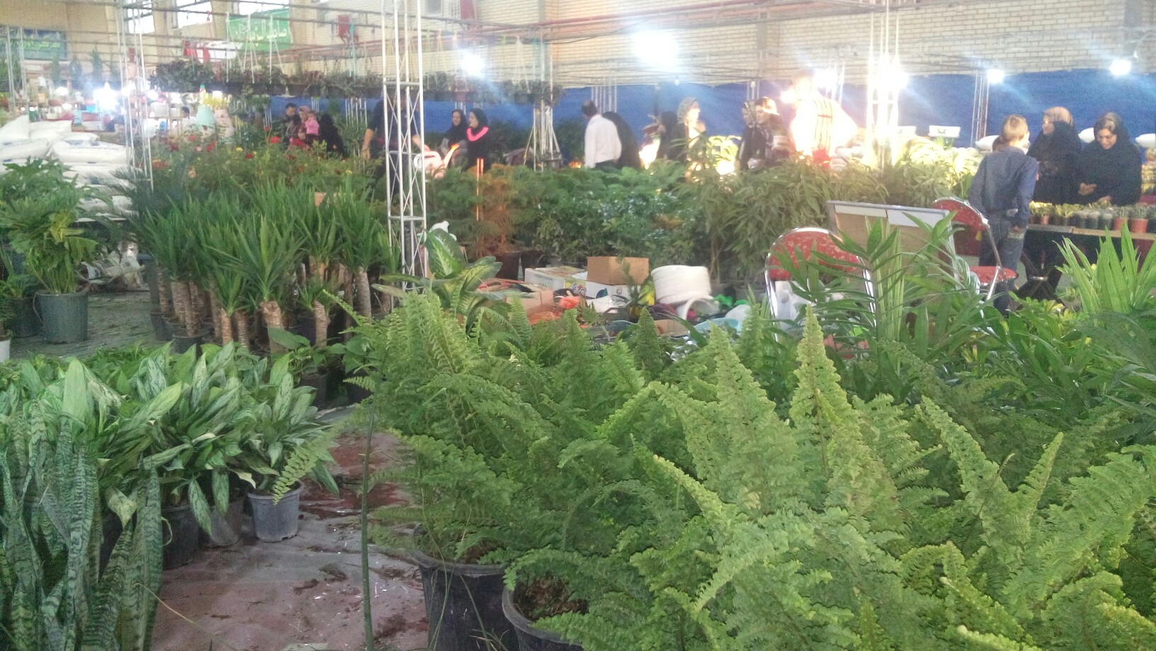 برپایی نمایشگاه گل و گیاه در شهربابک