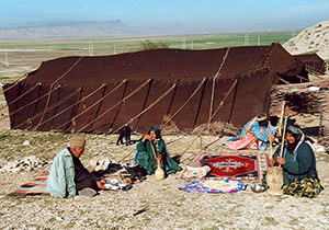 ۲۲۰ کانون آماده اسکان عشایر در فارس