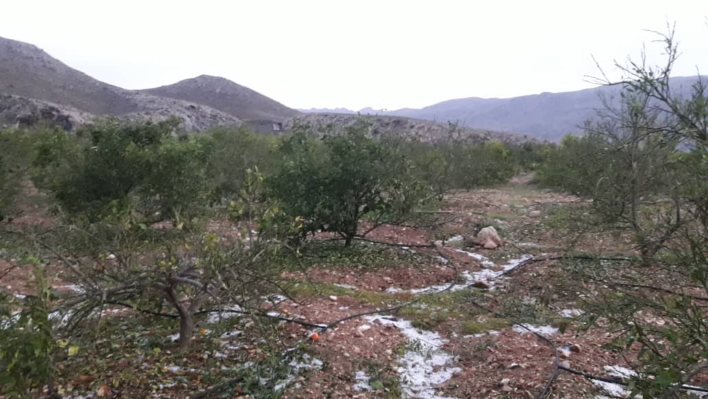پرداخت کمک‌های بلاعوض به سیل زدگان فسا