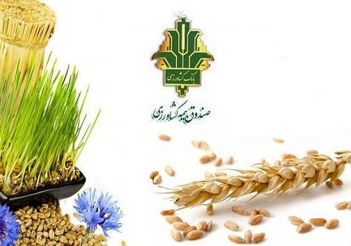 پرداخت ۶۳۰ میلیارد ریال غرامت بیمه‌ای به کشاورزان کهگیلویه و بویراحمد