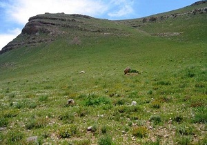آغاز عملیات آموزشی ترویجی و مشارکت‌های جایکا در حوزه آبخیز مدیریت جامع الگویی رکعت