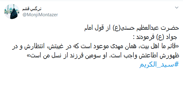 هر آنکسی که زائر قبر شما شده؛ گویا که رفته کربُبلا، سیدالکریم