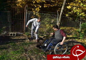۵ هزار اصله نهال در اردوگاه توسکستان کاشته شد + تصاویر