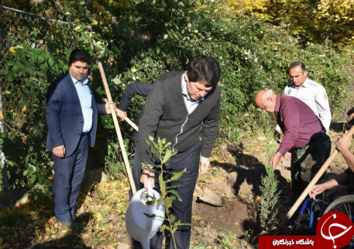 ۵ هزا اصله نهال در اردوگاه توسکستان کشت شد
