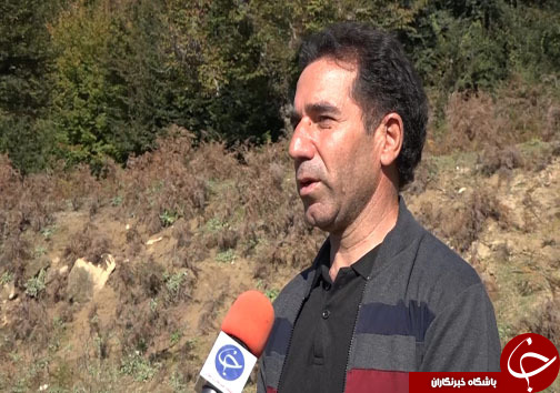 ثبت خاطرات خوش با سفر پاییزی به مازندران + فیلم