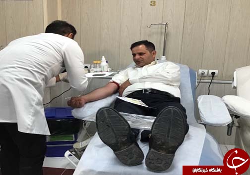 آغاز زندگی مشترک، با بخشیدن حیات به همنوعان