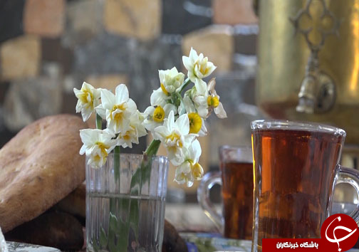 ثبت خاطرات خوش با سفر پاییزی به مازندران + فیلم