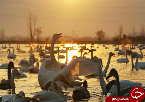 ثبت خاطرات خوش با سفر پاییزی به مازندران + فیلم