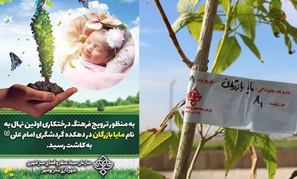 هر تولد یک درخت