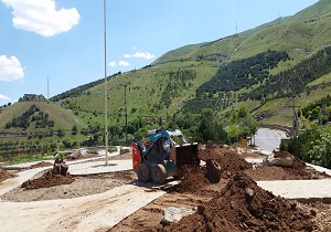 بلوار کمربندی آبیدر نهال کاری شد
