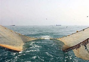 ادوات صیادی غیرمجاز در بوکان توقیف شد