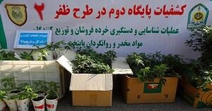 آیا 