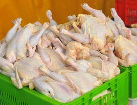 عرضه گوشت مرغ پایین‌تر از نرخ مصوب دولتی در آذربایجان‌شرقی