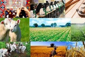 اجرای ۵۲۲ طرح اشتغال روستایی در فاروج