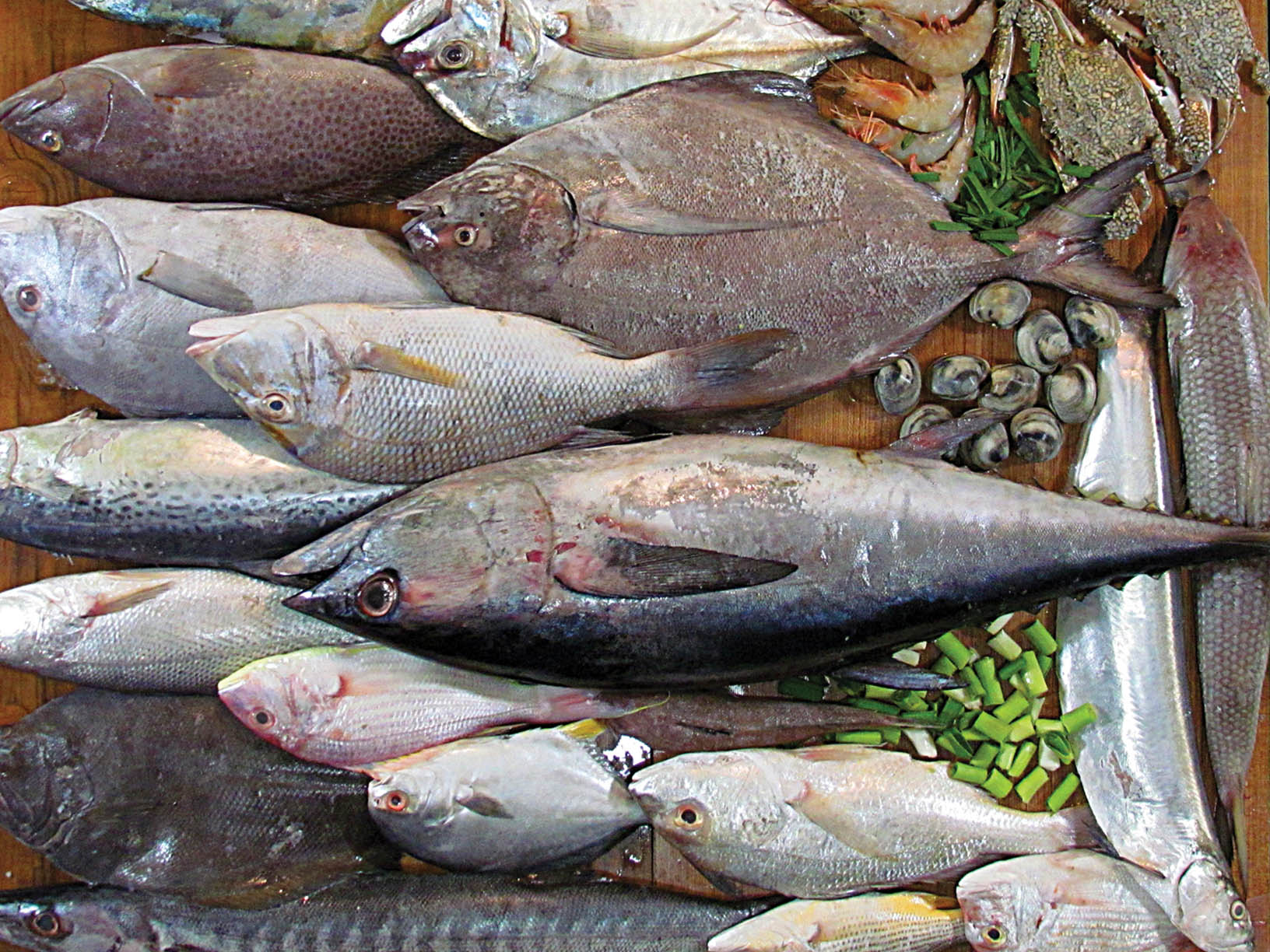 انواع ماهی در غرفه های تره بار با چه قیمتی بخریم؟