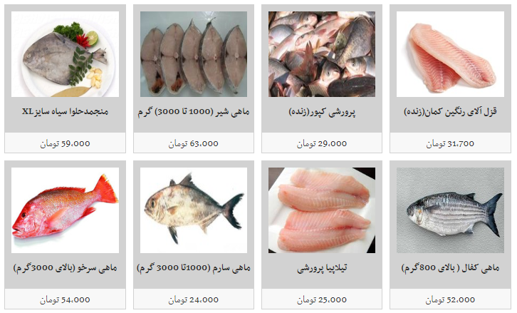انواع ماهی در غرفه های تره بار با چه قیمتی بخریم؟